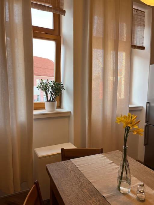 Apartman Pod Valdickou Branou Jičín Zewnętrze zdjęcie